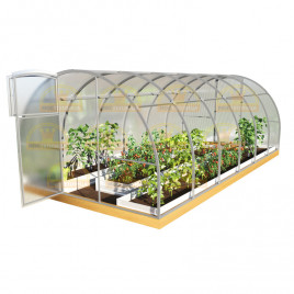 Теплица Гриб