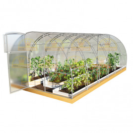 Теплица Царская Звезда