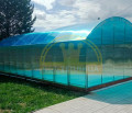 Павильон для бассейна из поликарбоната шириной 6 метров Павильон для бассейна из поликарбоната шириной 6 метров