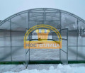 Теплица Фермерская ширина 6 метров Теплица Фермерская ширина 6 метров