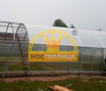 Теплица Промышленная ширина 7 метров Теплица Промышленная ширина 7 метров