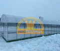 Теплица Промышленная ширина 7 метров Теплица Промышленная ширина 7 метров