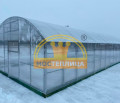 Теплица Промышленная ширина 7 метров Теплица Промышленная ширина 7 метров