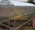 Теплица Царская лайт, ширина 2 метра Теплица Царская лайт, ширина 2 метра