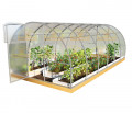 Теплица Гриб, ширина 3 метра Теплица Гриб, ширина 3 метра