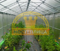 Теплица домиком Царская Двускатная, ширина 2.5 метра 
