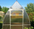 Теплица Царская Стрела, ширина 2 метра Теплица Царская Стрела, ширина 2 метра